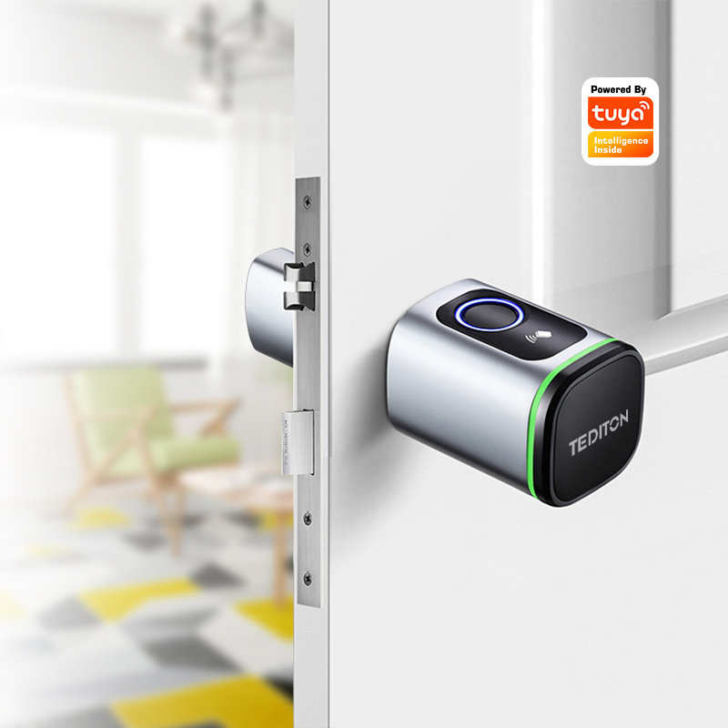 Airbnb Smart Home - Tuya wifi fechadura de porta de