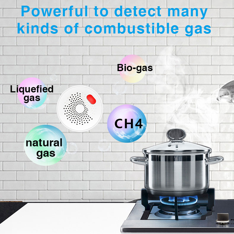 Sensor de Gás Natural Tuya Sma - Smart Home Europe avaliação e preço